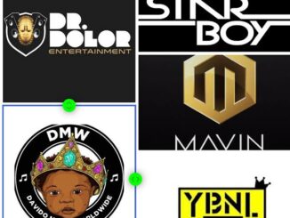 Top Record Labels in Nigeria And Owners(2021)