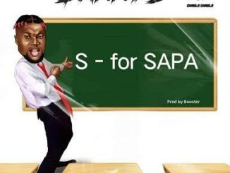 Download Danny S – S For Sapa MP3