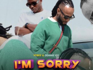 Download: Vybez Visionz – I’m Sorry Ft Demmie Vee Mp3