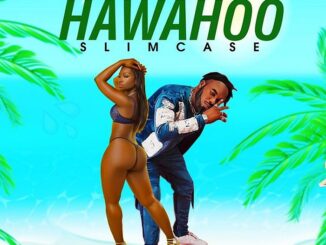 Download: slimcase- Hawahoo Mp3