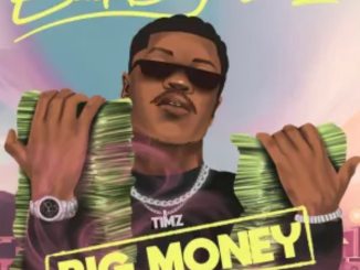 Download: Bad Boy Timz – Big Money MP3