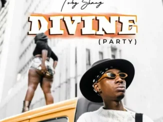 Download: TOBY SHANG – DIVINE (PARTY) MP3