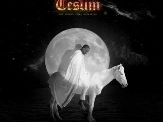 Album: Vector – Teslim (The Energy Still Lives in Me) Download