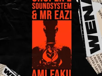 Download: Mr Eazi – Wena ft. Ami Faku MP3
