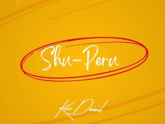 Kizz Daniel – Shu-Peru