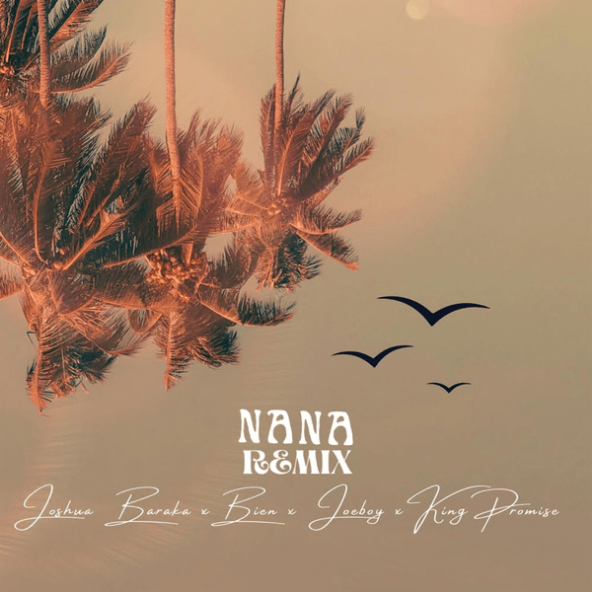 Joshua Baraka, King Promise & Bien – NANA (Remix) feat. Joeboy Latest Songs
